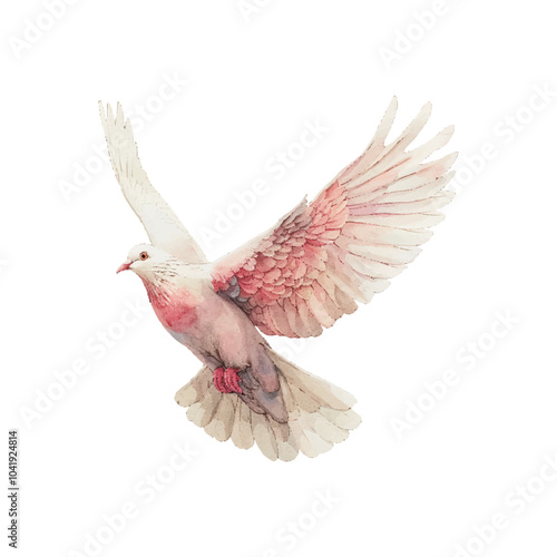 flying dove vector illustration in watercolor style