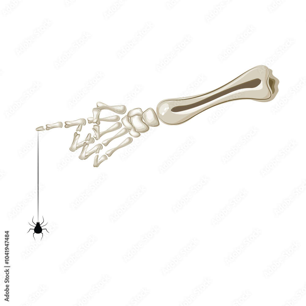 Spooky skeleton hand grasping a spider on its web, perfect for Halloween or horror designs Spooky skeleton hand grasping a spider on its web, perfect for Halloween or horror designs