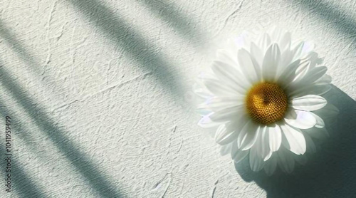 Abstract white texture background with beautiful white flower