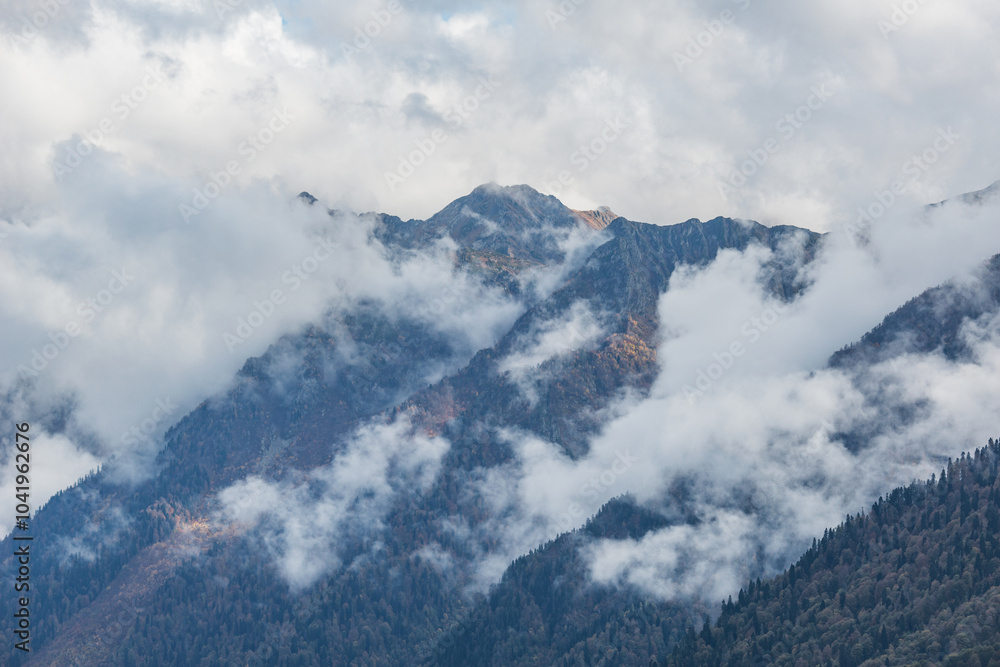 Clouds above the mountain forest. Clouds above the mountain forest.