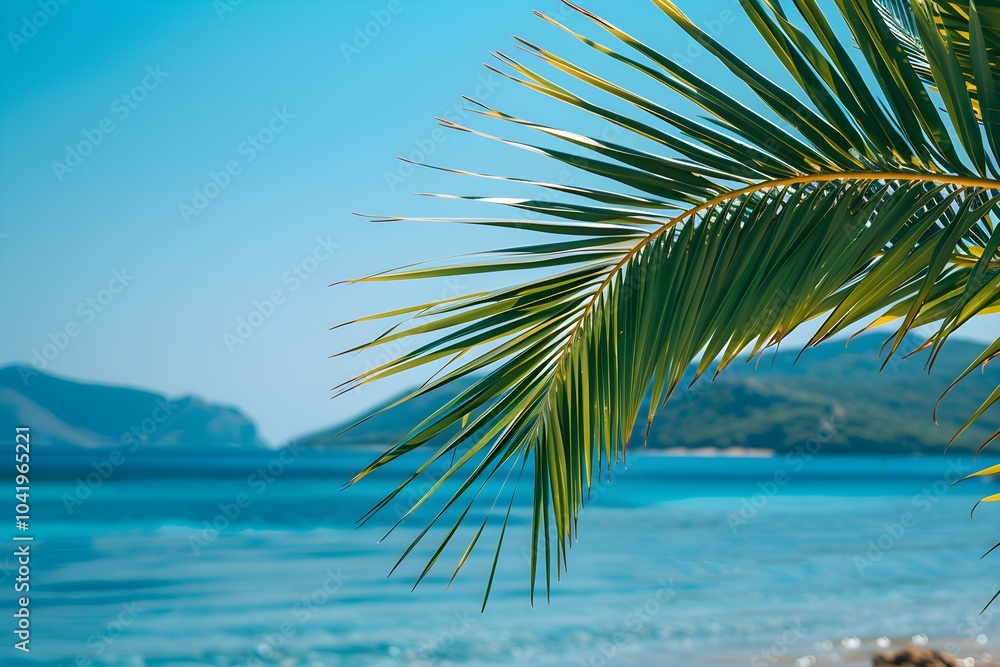 Fototapeta premium A close up of a palm tree near a body of water