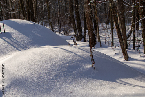 Sparkling snow. Clean and white snow under the bright sun