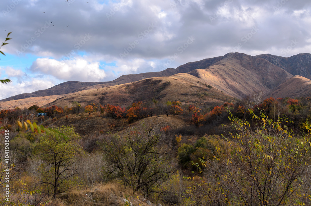 autumn trees on the background of mountains under gray clouds, blue sky and flying birds autumn trees on the background of mountains under gray clouds, blue sky and flying birds