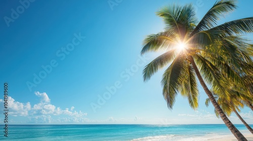 Bright Tropical Beach with Shining Sunlight