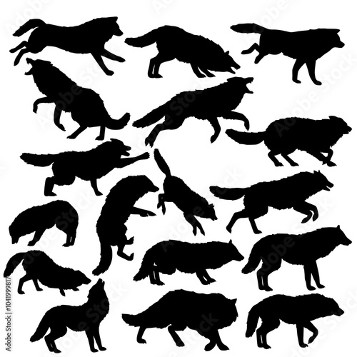 Vector Set of Wolf Silhouettes in Various Poses photo