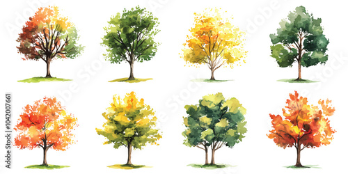 Set watercolor fall oak maple autumn trees design resources elements isolated on transparent background