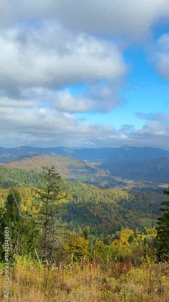 The landscape of Carpathian Mountains in the sunny weather. Perfect weather condition in the autumn season The landscape of Carpathian Mountains in the sunny weather. Perfect weather condition in the autumn season