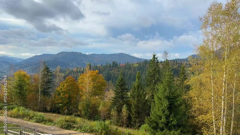 The landscape of Carpathian Mountains in the sunny weather. Perfect weather condition in the autumn season The landscape of Carpathian Mountains in the sunny weather. Perfect weather condition in the autumn season