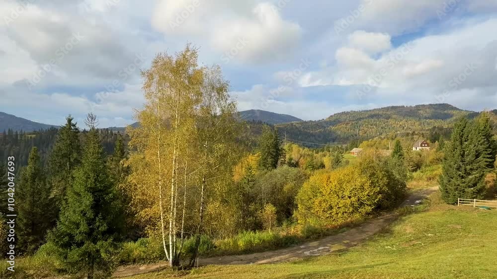The landscape of Carpathian Mountains in the sunny weather. Perfect weather condition in the autumn season The landscape of Carpathian Mountains in the sunny weather. Perfect weather condition in the autumn season