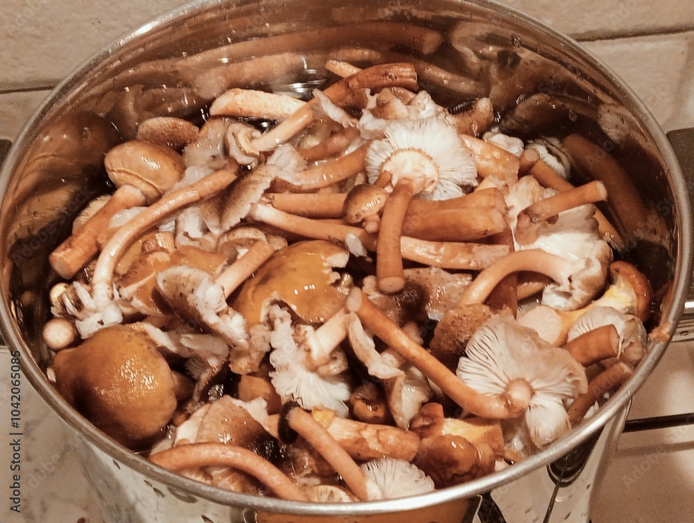 closeup of raw honey mushrooms in a pan