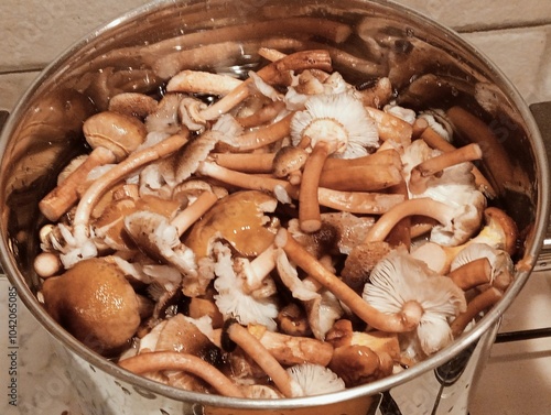 Obraz na płótnie closeup of raw honey mushrooms in a pan w salonie