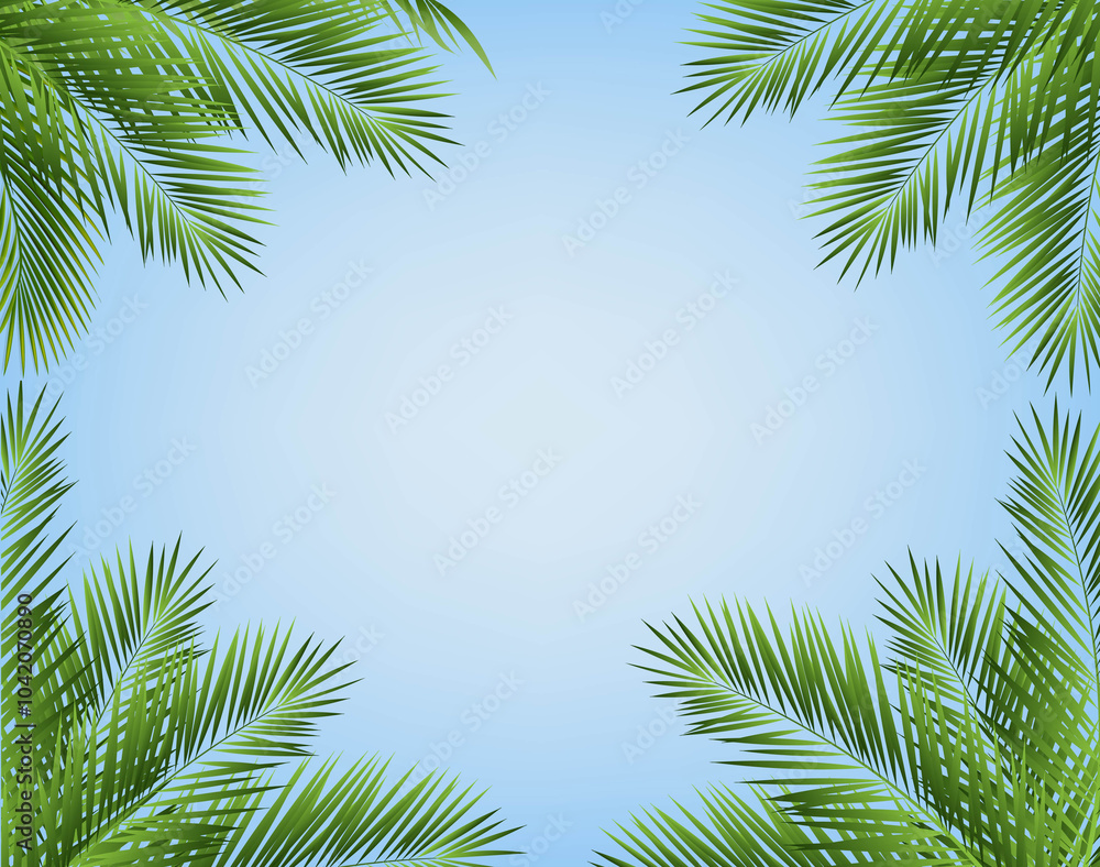 Naklejka premium eTropicalPalmTreeFrameWithIBlueSky_10_M_241012