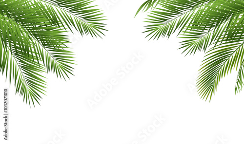 Tropical Palm Tree With Isolated White Background photo