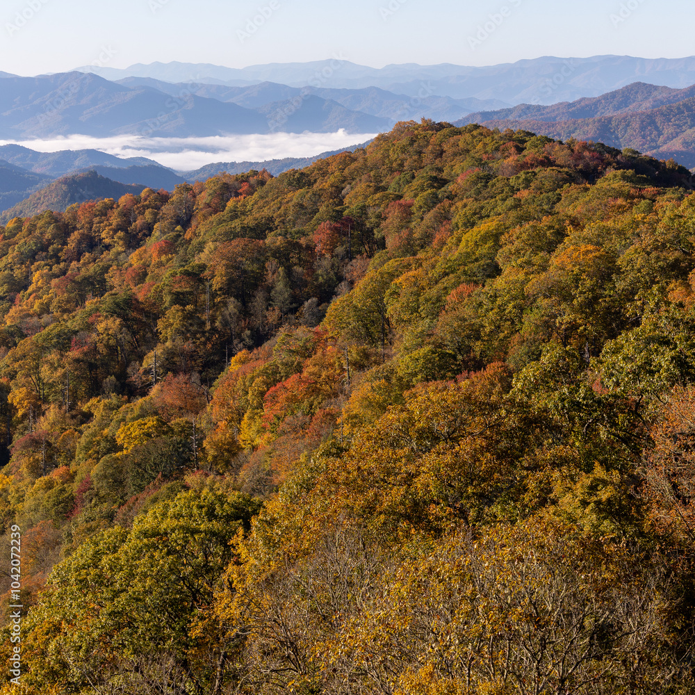 autumn in the mountains autumn in the mountains