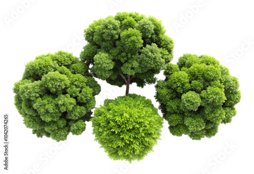  top view of three lush green trees with dense foli (2) png photo