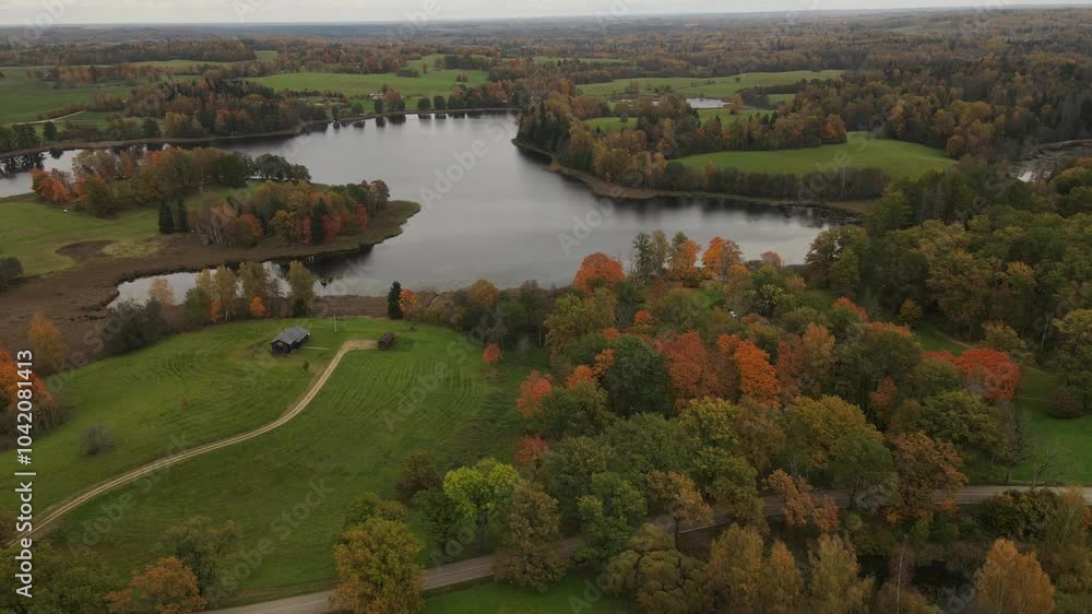A drone captures a breathtaking autumn scene of vibrant yellow and red trees with a serene lake in the background. The colorful foliage contrasts beautifully with the calm water A drone captures a breathtaking autumn scene of vibrant yellow and red trees with a serene lake in the background. The colorful foliage contrasts beautifully with the calm water