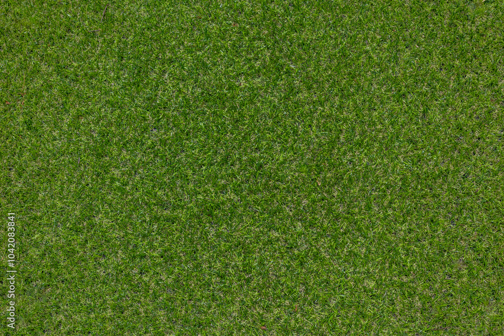 Fototapeta premium Artificial grass, covering. Artificial green grass mat, top view. Texture. Background. Artificial turf, surface made of synthetic fibers. Flat green grass texture background. Short grass