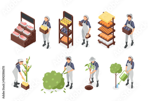 Isometric farm market. Fresh agriculture products on stalls, meat vegetables bakery. Farmers planting, watering and collect harvest, flawless vector set