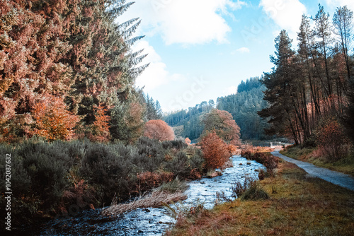 Entwistle reservoir woodland Lancashire UK. Serene forest stream flowing through autumn-hued woodland under a clear blue sky. photo