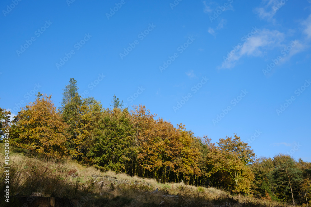 Entwistle reservoir woodland Lancashire UK. Sunny autumn day with blue sky and colorful trees on a hillside. Entwistle reservoir woodland Lancashire UK. Sunny autumn day with blue sky and colorful trees on a hillside.