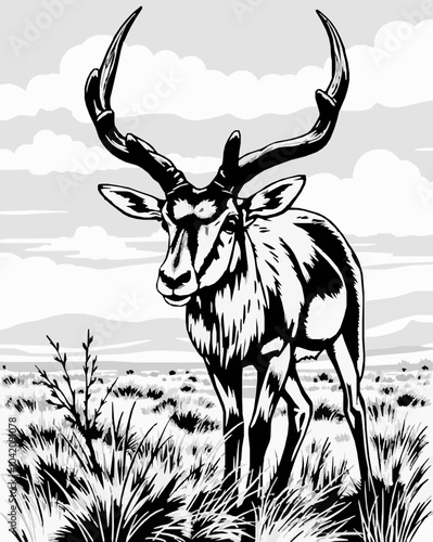 Saiga Antelope black and white vector art illustration