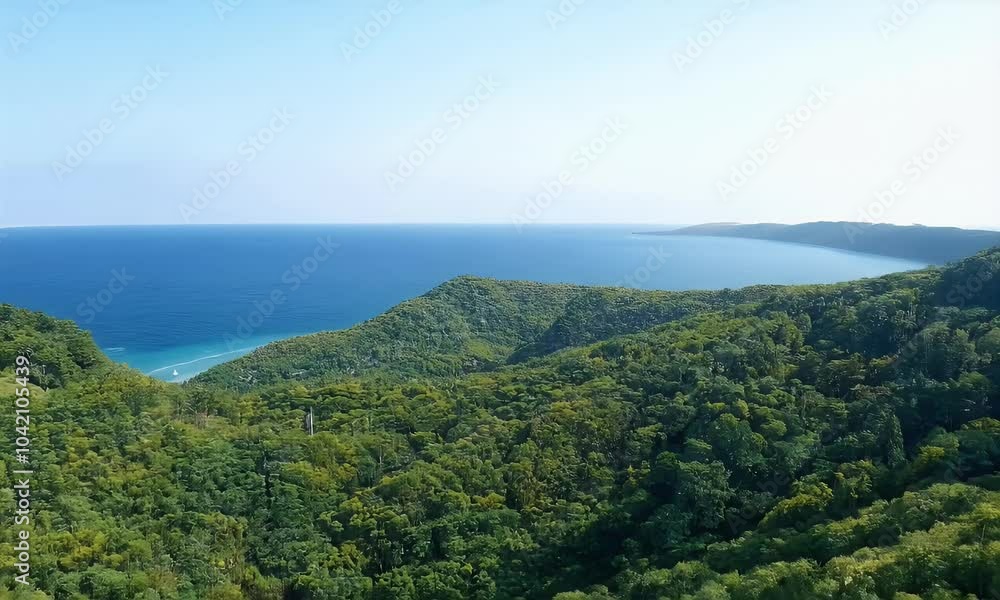 A scenic view of lush greenery leading to the ocean under a clear blue sky. A scenic view of lush greenery leading to the ocean under a clear blue sky.