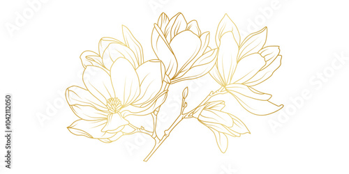 Golden magnolia flowers line art isolated on white background. Luxury magnolia floral design elements for invitation, wedding, wallpaper, print template, vector illustration