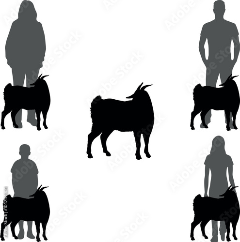 Myotonic Goat Show Vector File, Livestock Judging Vector, Farm Girl Boy Vector, 4-H, FFA Show - Vector Art 