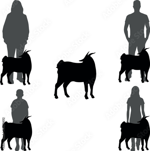 Myotonic Tennessee Fainting Goat Goat Show Vector File, Livestock Judging Vector, Farm Girl Boy Vector, 4-H, FFA Show - Vector Art 
