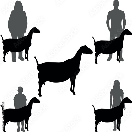 La Mancha goat Goat Show Vector File, Livestock Judging Vector, Farm Girl Boy Vector, 4-H, FFA Show - Vector Art 