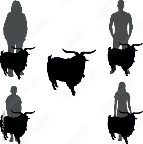 Pygora Goat Show Vector File, Livestock Judging Vector, Farm Girl Boy Vector, 4-H, FFA Show - Vector Art 