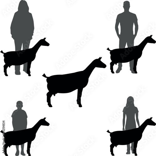 Nigerian Dwarf Goat Show Vector File, Livestock Judging Vector, Farm Girl Boy Vector, 4-H, FFA Show - Vector Art 