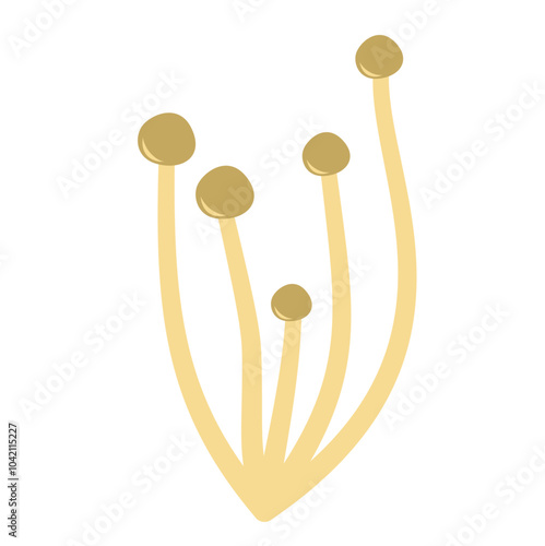 Enoki mushrooms. Vector illustration