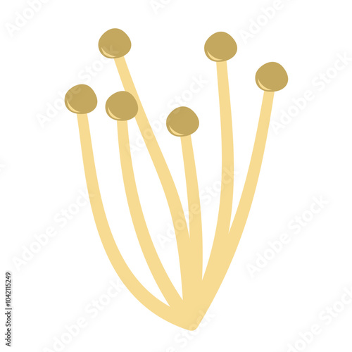 Enoki mushrooms. Vector illustration