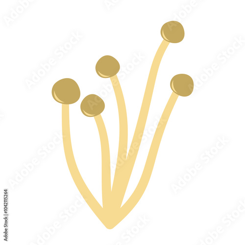 Enoki mushrooms. Vector illustration