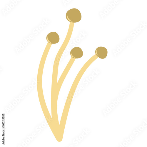 Enoki mushrooms. Vector illustration