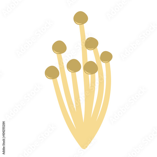 Enoki mushrooms. Vector illustration