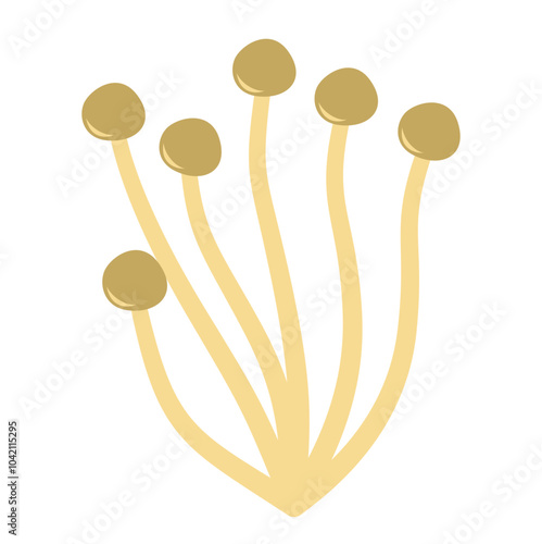Enoki mushrooms. Vector illustration