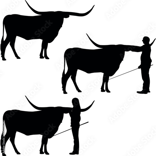 Texas Longhorn Cow Show Vector, Livestock Judging Vector, Farm Girl Boy Vector, 4-H, FFA Show - Vector Art 