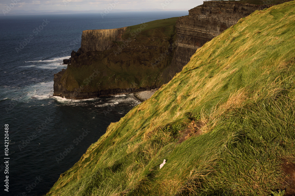Field of green grass at the Cliffs of Moher - Liscannor - Co. Clare - Republic of Ireland Field of green grass at the Cliffs of Moher - Liscannor - Co. Clare - Republic of Ireland