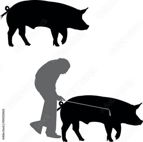 Tamworth Pig Show Vector File, Livestock Judging Vector, Farm Girl Boy Vector, 4-H, FFA Show - Vector Art 
