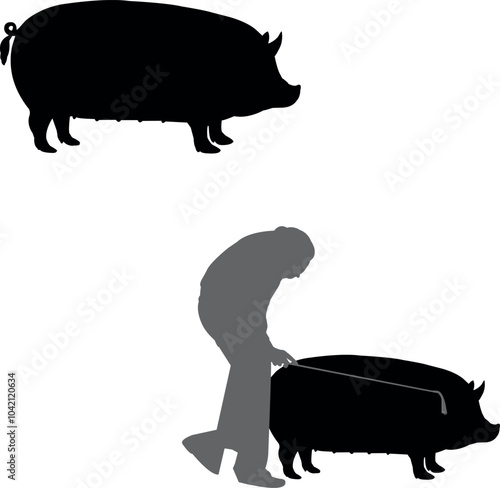 Berkshire Pig Show Vector File, Livestock Judging Vector, Farm Girl Boy Vector, 4-H, FFA Show - Vector Art 