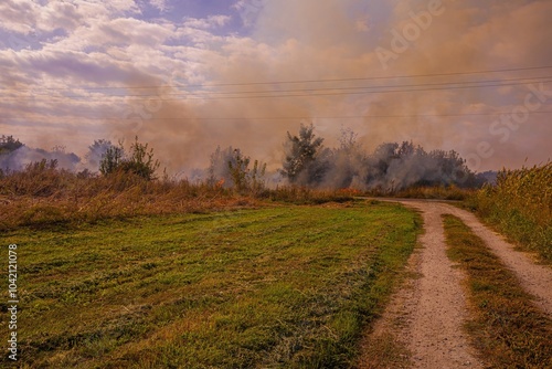 Smoke from a field fire: the consequences of a discarded cigarette butt. One cigarette can ignite a wildfire, threatening the ecosystem and polluting the air