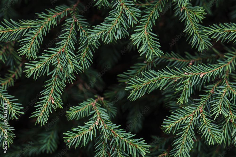 Christmas fir tree branches Background. Christmas pine tree wallpaper. Copy space. Generative AI Christmas fir tree branches Background. Christmas pine tree wallpaper. Copy space. Generative AI