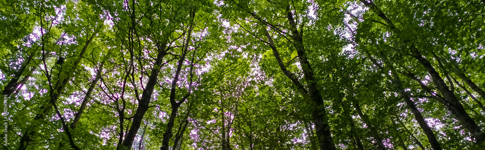 Fototapeta premium IMG_20240609_194244