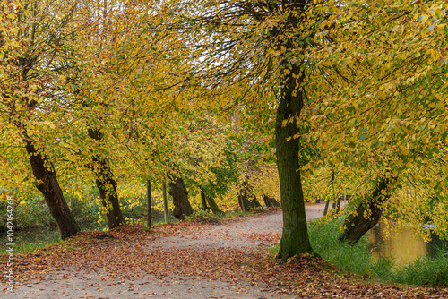 Herbst im westlichen M  nsterland
