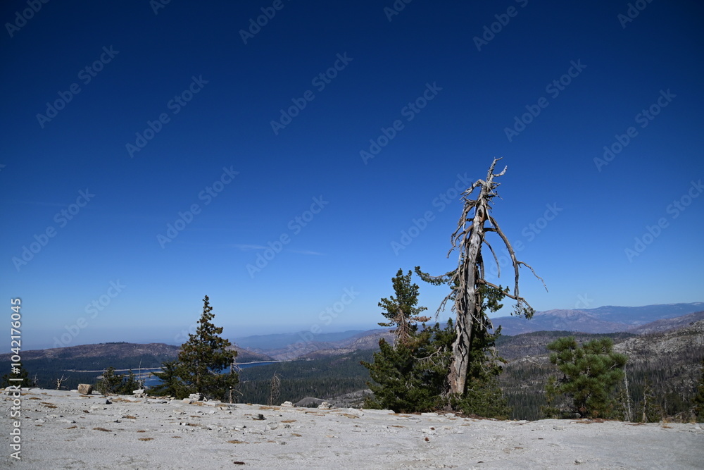 Obraz premium Bald Mountain