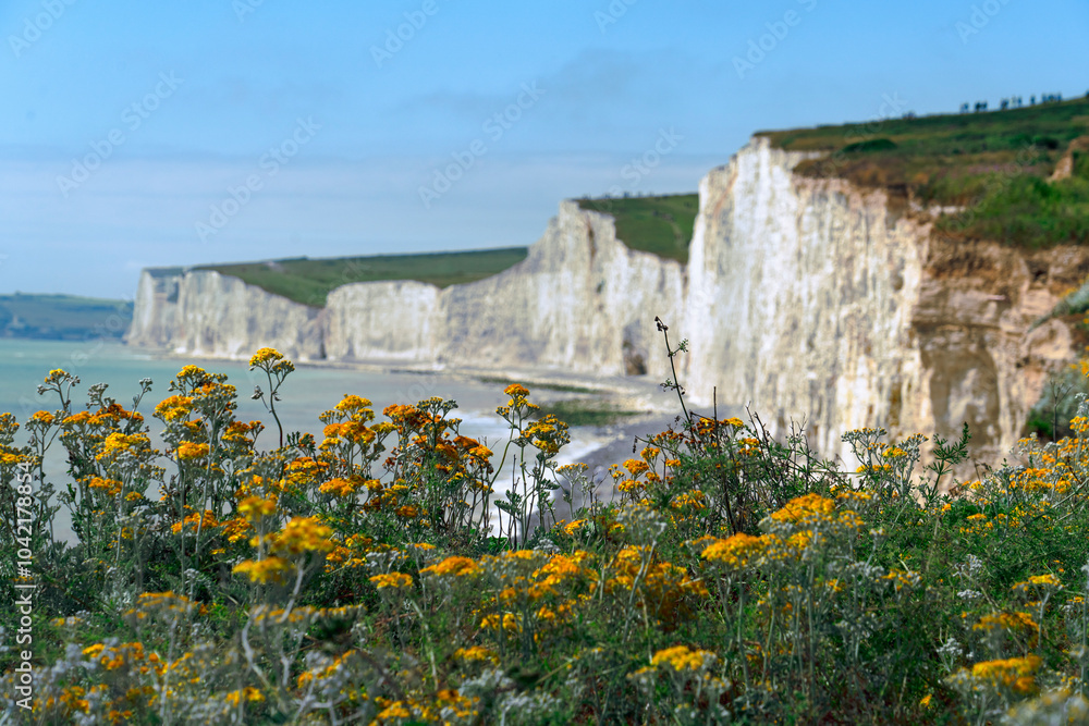 Seven Sister Cliffs, England