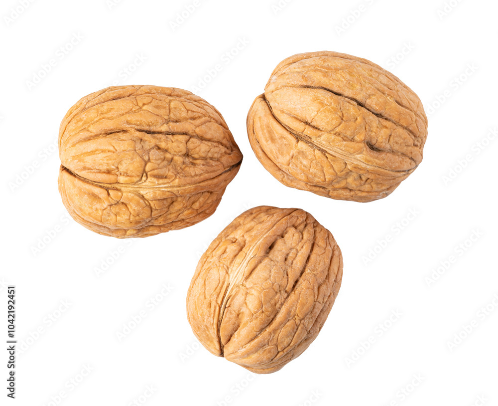 Walnut on transparent background Walnut on transparent background