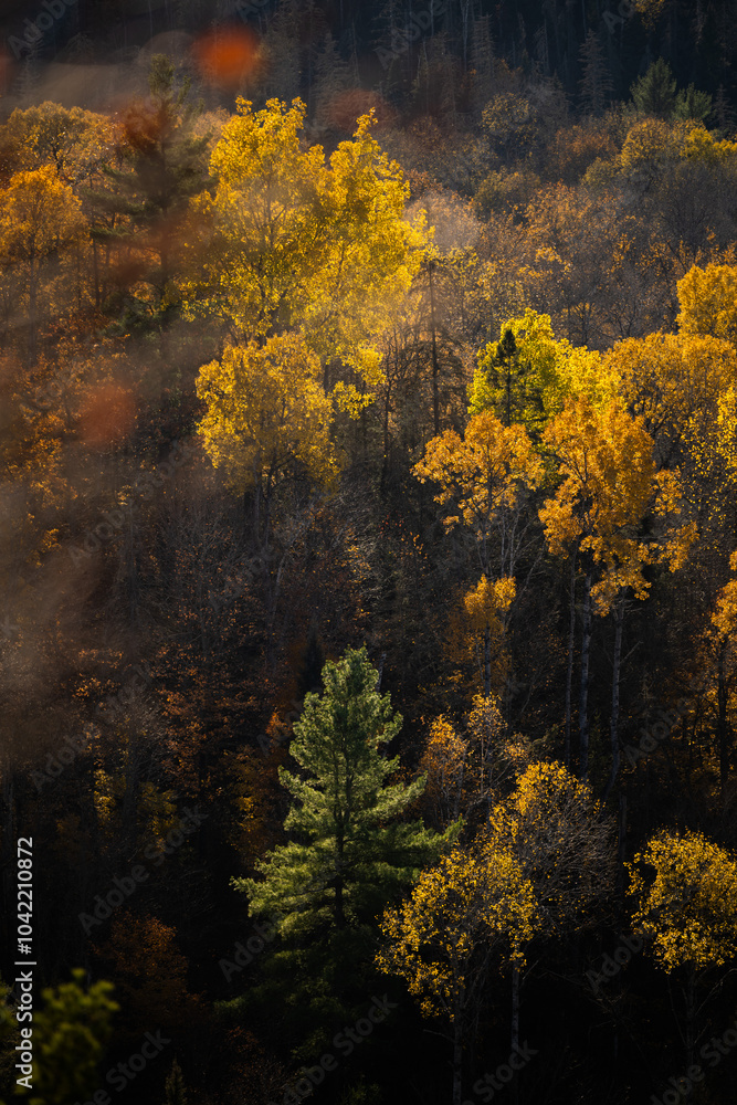 Autumn in Redbridge Northern Ontario Autumn in Redbridge Northern Ontario